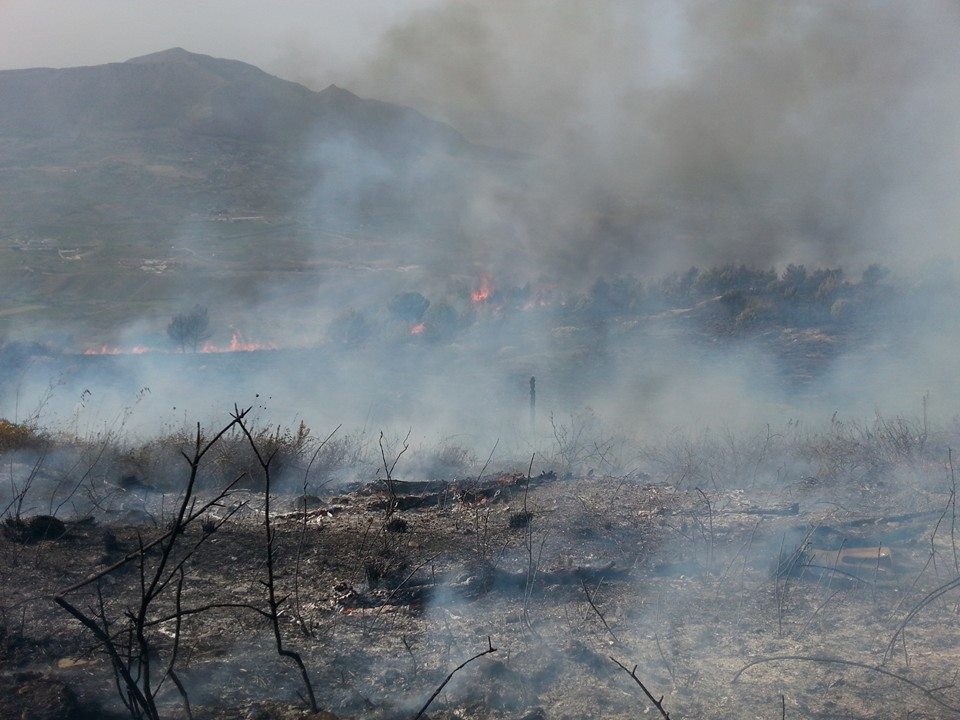 monte bonifato incendio