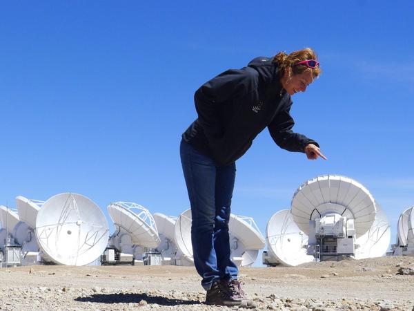 violette impellizzeri