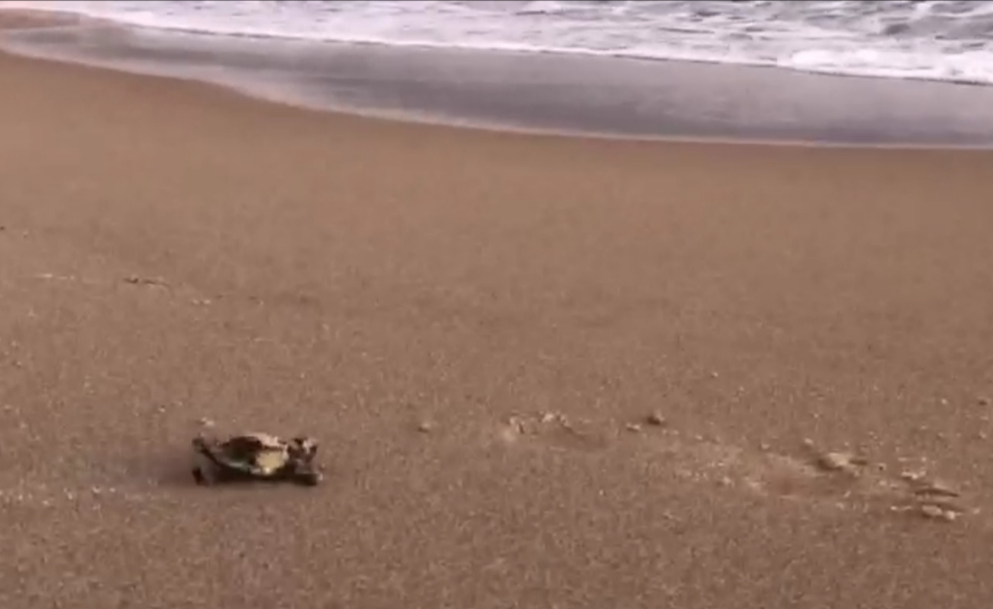 Screenshot_20200827_170127