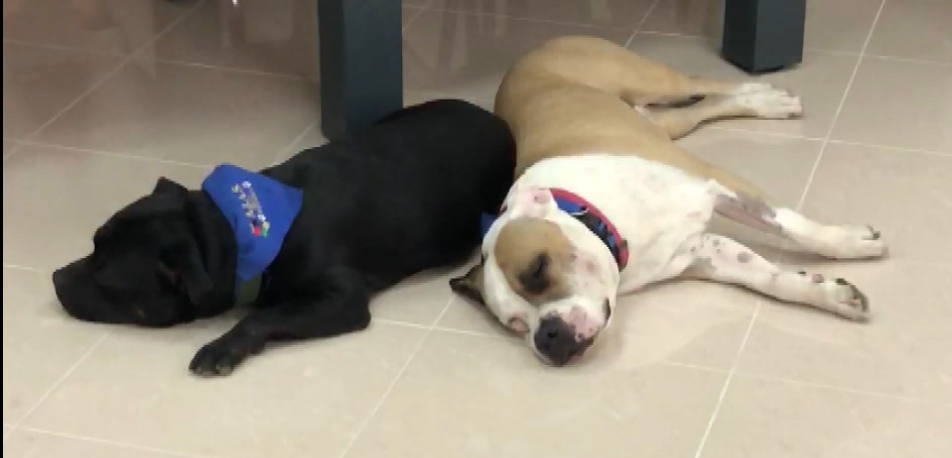 Partinico-terapie-08-07-22.mpg_snapshot_03.15.416