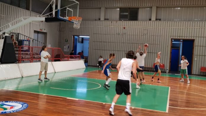 Basket-12-09-23.mpg_snapshot_00.00.000