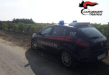 Marsala: arrestato straniero dopo aggressione a carabinieri e auto di servizio